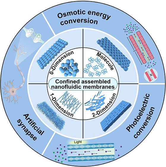 师从冯新亮江雷院士！中科大张振教授团队最新ACS Nano封